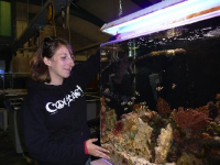 Developing an interpretive tour of aquarium husbandry